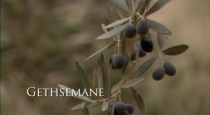 Gethsémani Mormon Gethsémani Mormon