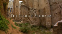 Piscine de Bethesda mormon Piscine de Bethesda mormon